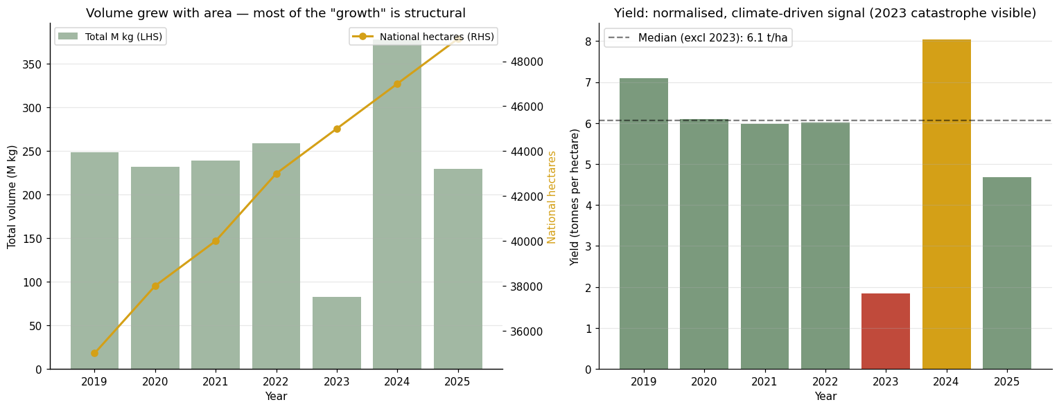 Peru mango yield per hectare versus total volume, separating area expansion from climate driven yield