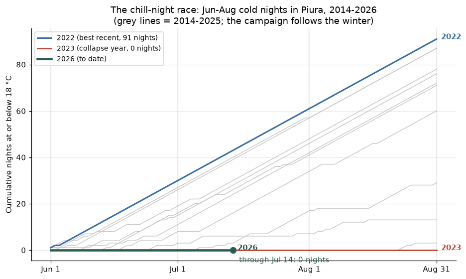 Chill night race