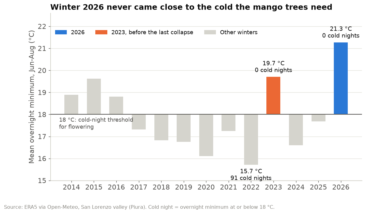 Mean June to August overnight minimum in Piura by year from 2014 to 2026 against the 18 degree flowering threshold