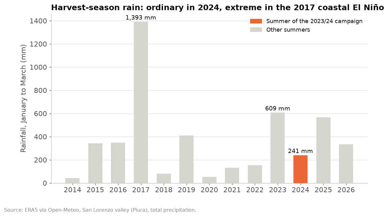 January to March rainfall in Piura by year from 2014 to 2026, with 1,393 mm in 2017 and 241 mm in 2024